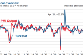 pmi-turkey-jan2026-english.png